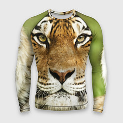 Рашгард мужской Амурский тигр, цвет: 3D-принт