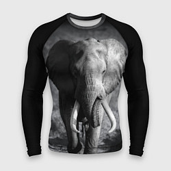 Рашгард мужской Бегущий слон, цвет: 3D-принт