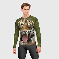 Рашгард мужской Удивленный тигр, цвет: 3D-принт — фото 2