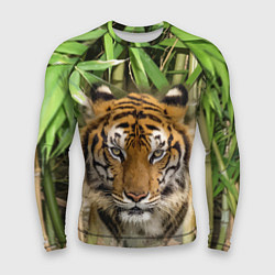 Рашгард мужской Матёрый тигр в зарослях бамбука, цвет: 3D-принт
