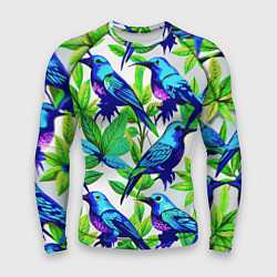 Мужской рашгард Паттерн маленькое синее колибри