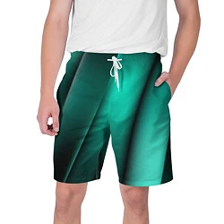 Мужские шорты Emerald lines