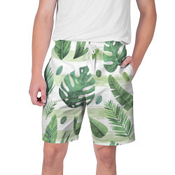 Мужские шорты Тропические джунгли