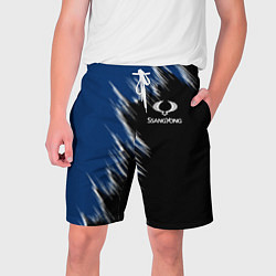 Шорты на шнурке мужские SSANGYONG, цвет: 3D-принт