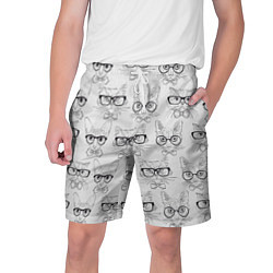 Мужские шорты Кошки в очках