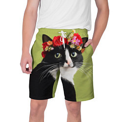 Мужские шорты Кот и цветы