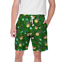 Шорты на шнурке мужские Totoro&Kiki ALLSTARS, цвет: 3D-принт