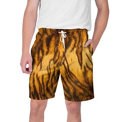 Шорты на шнурке мужские Шкура тигра 2022, цвет: 3D-принт