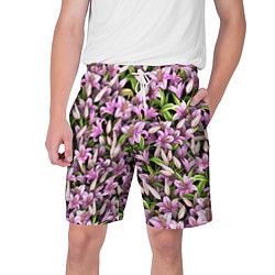 Шорты на шнурке мужские Лилии цветут, цвет: 3D-принт