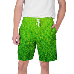 Шорты на шнурке мужские Трава зеленая, цвет: 3D-принт