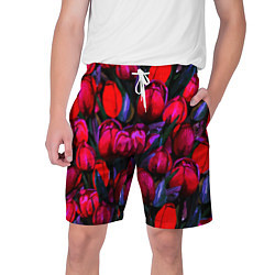 Мужские шорты Тюльпаны - поле красных цветов