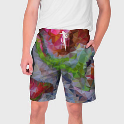 Шорты на шнурке мужские Красочный узор, цвет: 3D-принт