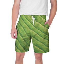 Шорты на шнурке мужские Травяной паттерн, цвет: 3D-принт