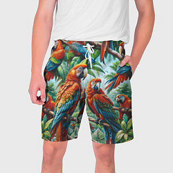 Шорты на шнурке мужские Попугаи Ара - тропики джунгли, цвет: 3D-принт