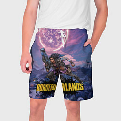 Мужские шорты Borderlands вооружение