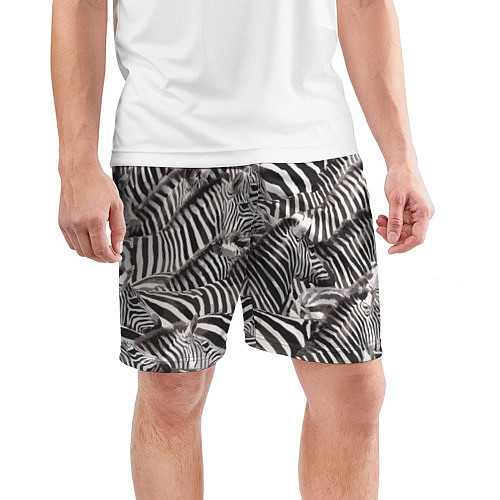 Мужские спортивные шорты Стая зебр / 3D-принт – фото 3