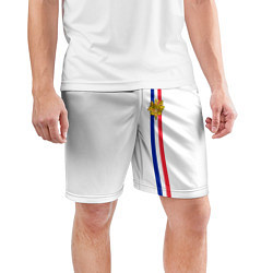 Шорты спортивные мужские Франция: лента с гербом, цвет: 3D-принт — фото 2