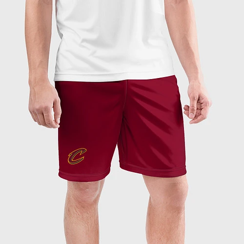 Мужские спортивные шорты Cleveland Cavaliers / 3D-принт – фото 3