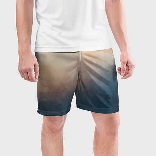 Мужские спортивные шорты Тана / 3D-принт – фото 3