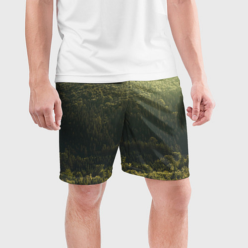 Мужские спортивные шорты Летний лес / 3D-принт – фото 3