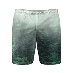 Шорты спортивные мужские Туманный лес, цвет: 3D-принт