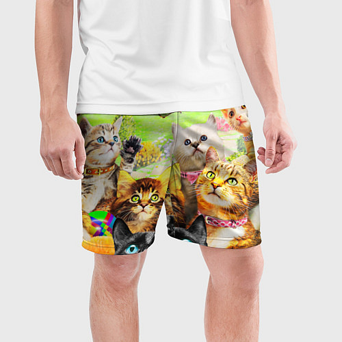 Мужские спортивные шорты КОТЫ / 3D-принт – фото 3