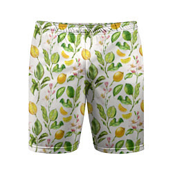 Мужские спортивные шорты Летний узор лимон ветки листья