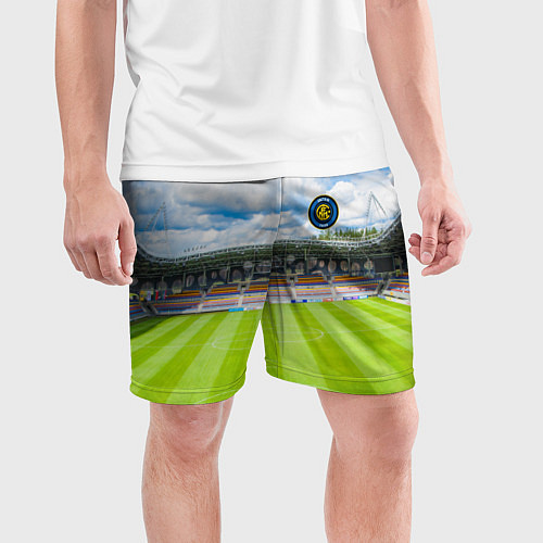 Мужские спортивные шорты FC INTER / 3D-принт – фото 3