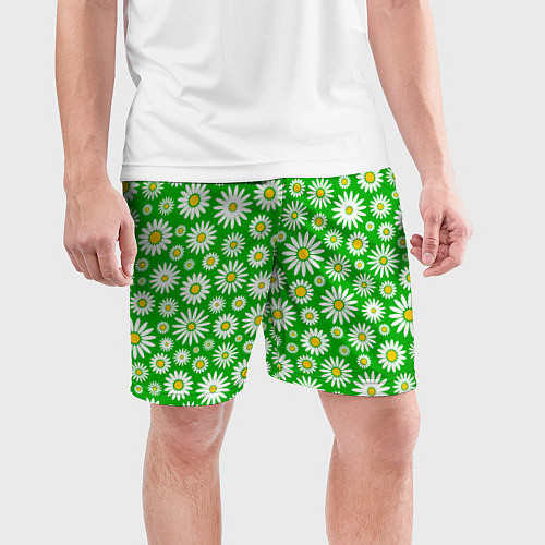 Мужские спортивные шорты Ромашки на зелёном фоне / 3D-принт – фото 3