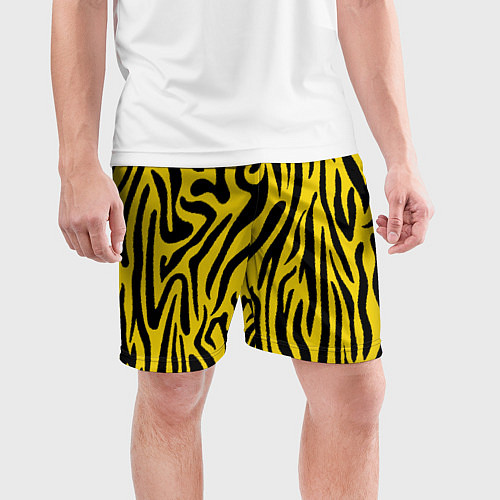 Мужские спортивные шорты Тигровые полоски / 3D-принт – фото 3