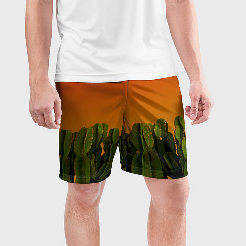 Мужские спортивные шорты Кактусы на закате / 3D-принт – фото 3