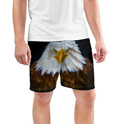 Шорты спортивные мужские Белоголовый орлан, цвет: 3D-принт — фото 2
