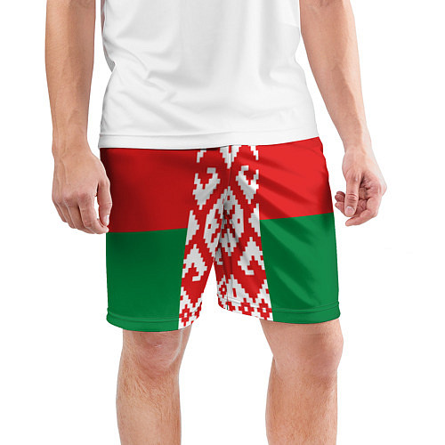 Мужские спортивные шорты Белоруссия / 3D-принт – фото 3