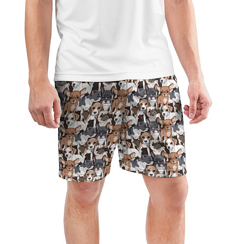 Мужские спортивные шорты Щенки Разных Пород / 3D-принт – фото 3