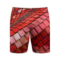 Шорты спортивные мужские Красная спартаковская чешуя, цвет: 3D-принт