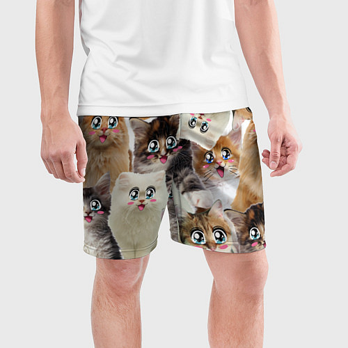 Мужские спортивные шорты Много кошек с большими анимэ глазами / 3D-принт – фото 3
