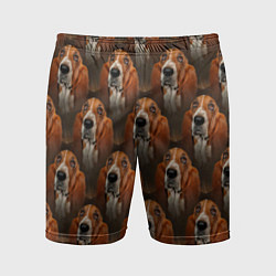 Мужские спортивные шорты Dog patternt