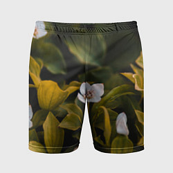 Мужские спортивные шорты Цветы колокольчик - весна