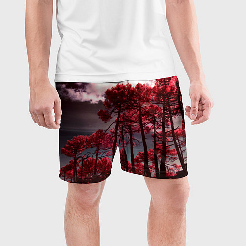 Мужские спортивные шорты Абстрактные красные деревья и облака / 3D-принт – фото 3