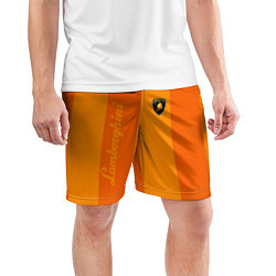 Шорты спортивные мужские Ламборгини полосы, цвет: 3D-принт — фото 2