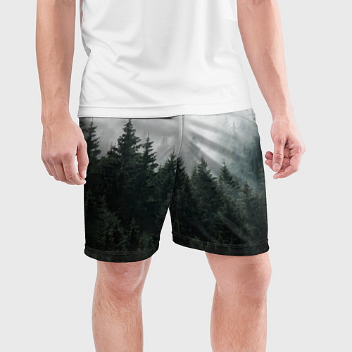 Мужские спортивные шорты Туманный хвойный лес / 3D-принт – фото 3