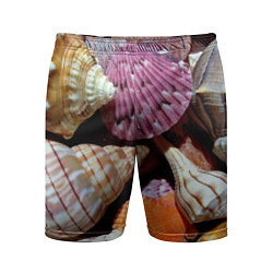 Мужские спортивные шорты Композиция из океанских ракушек