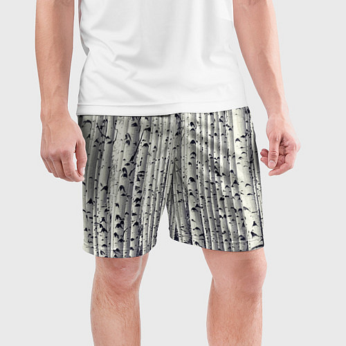 Мужские спортивные шорты Русские берёзки - роща / 3D-принт – фото 3