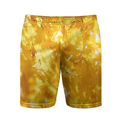 Шорты спортивные мужские Золотые листья на ветках, цвет: 3D-принт