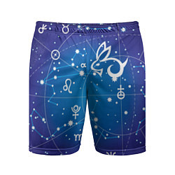 Мужские спортивные шорты Кролик символ 2023 на карте звездного неба