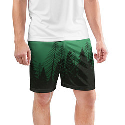 Шорты спортивные мужские Зелёный туманный лес, цвет: 3D-принт — фото 2
