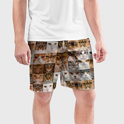 Шорты спортивные мужские Pedigreed cats, цвет: 3D-принт — фото 2