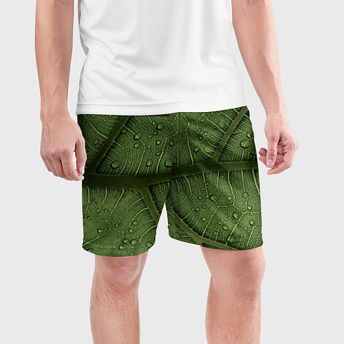 Мужские спортивные шорты Текстура зелёной листы / 3D-принт – фото 3