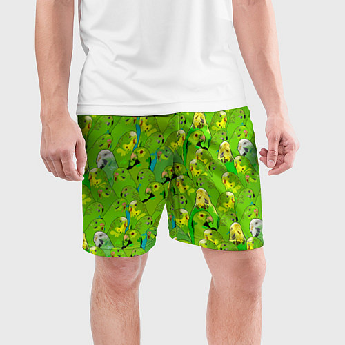 Мужские спортивные шорты Зеленые волнистые попугайчики / 3D-принт – фото 3