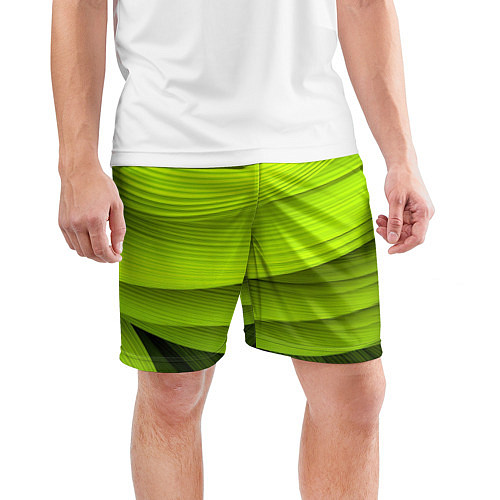 Мужские спортивные шорты Зеленый абстрактный фон / 3D-принт – фото 3